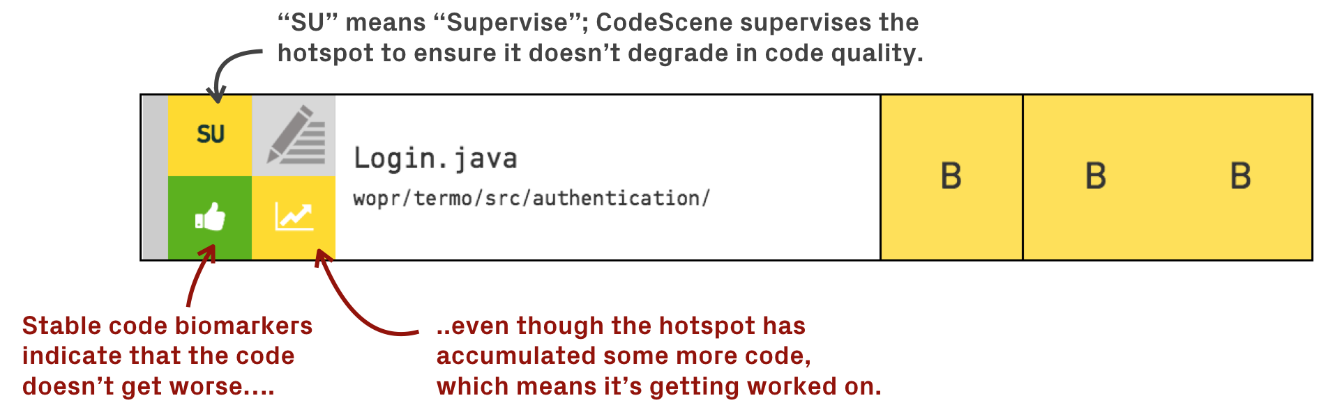 CodeScene acts as an extra team member that constantly supervises code at risk to grow worse.