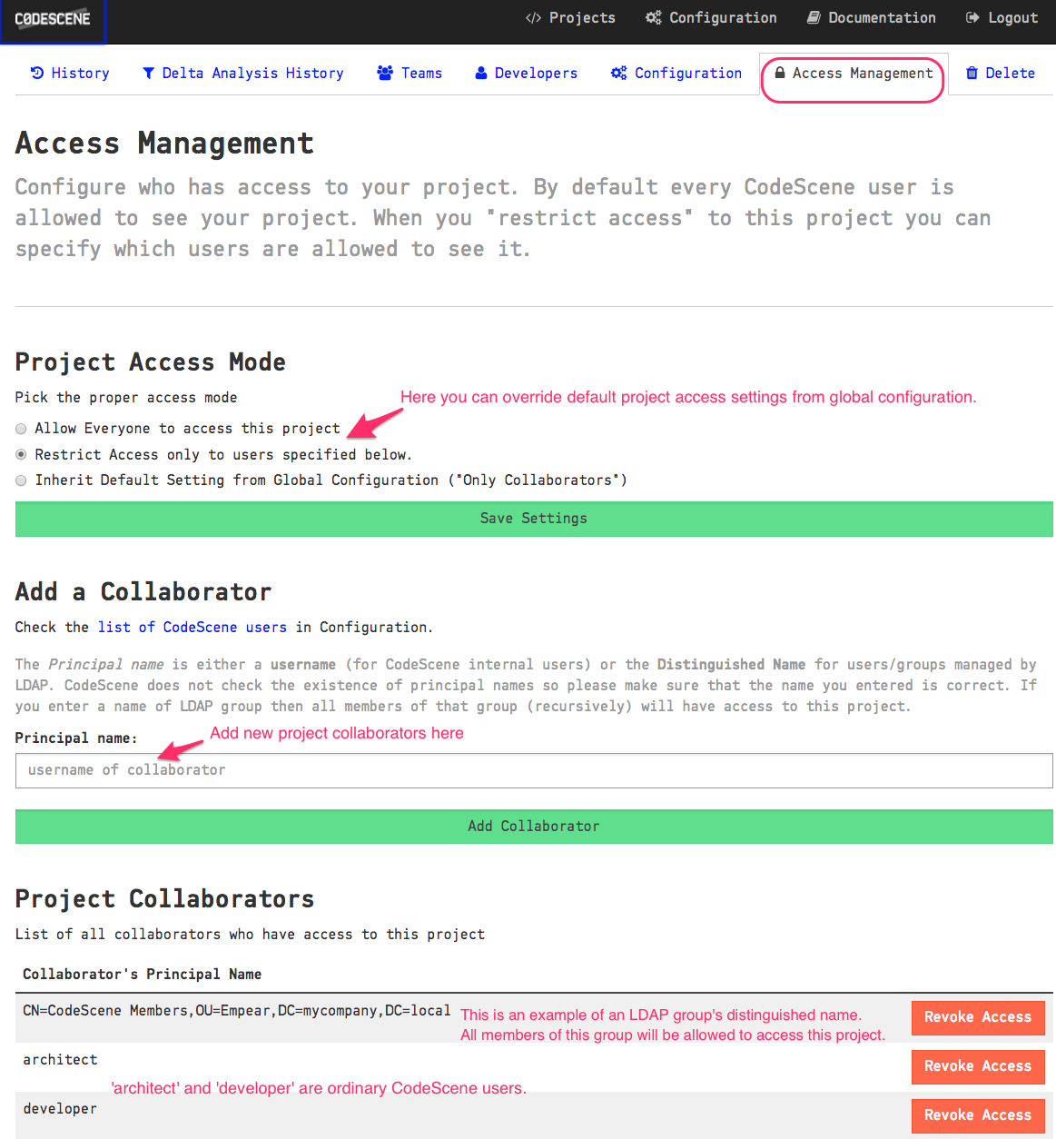 Project access management configuration